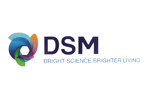 DSM